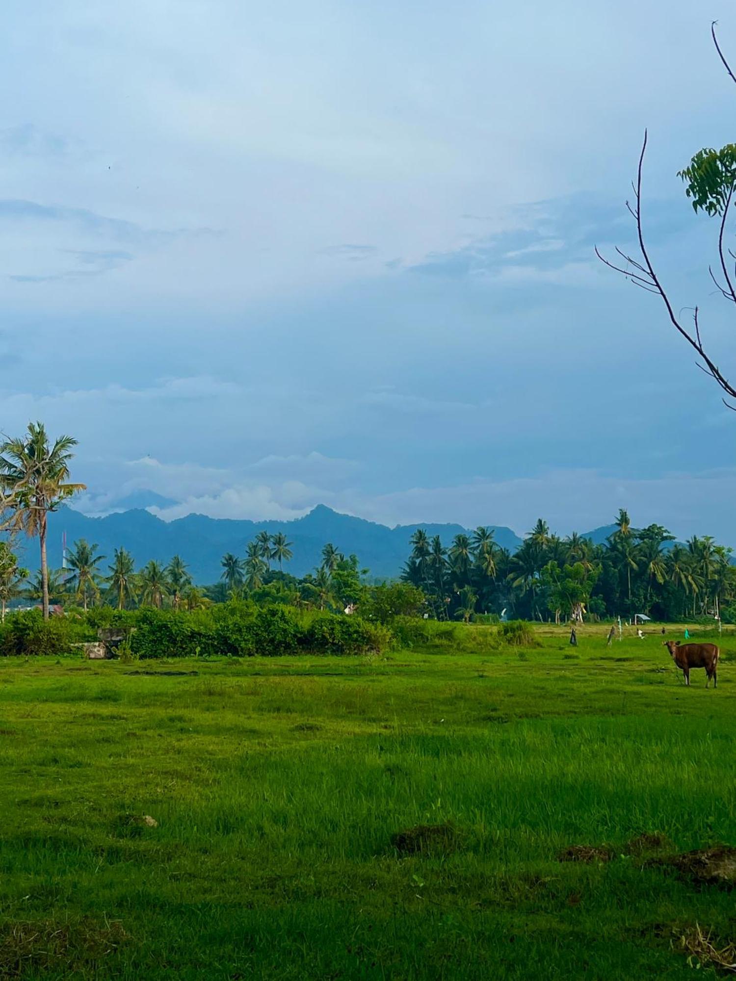 Rinjani Beach Eco Resort Tanjung  Exterior photo